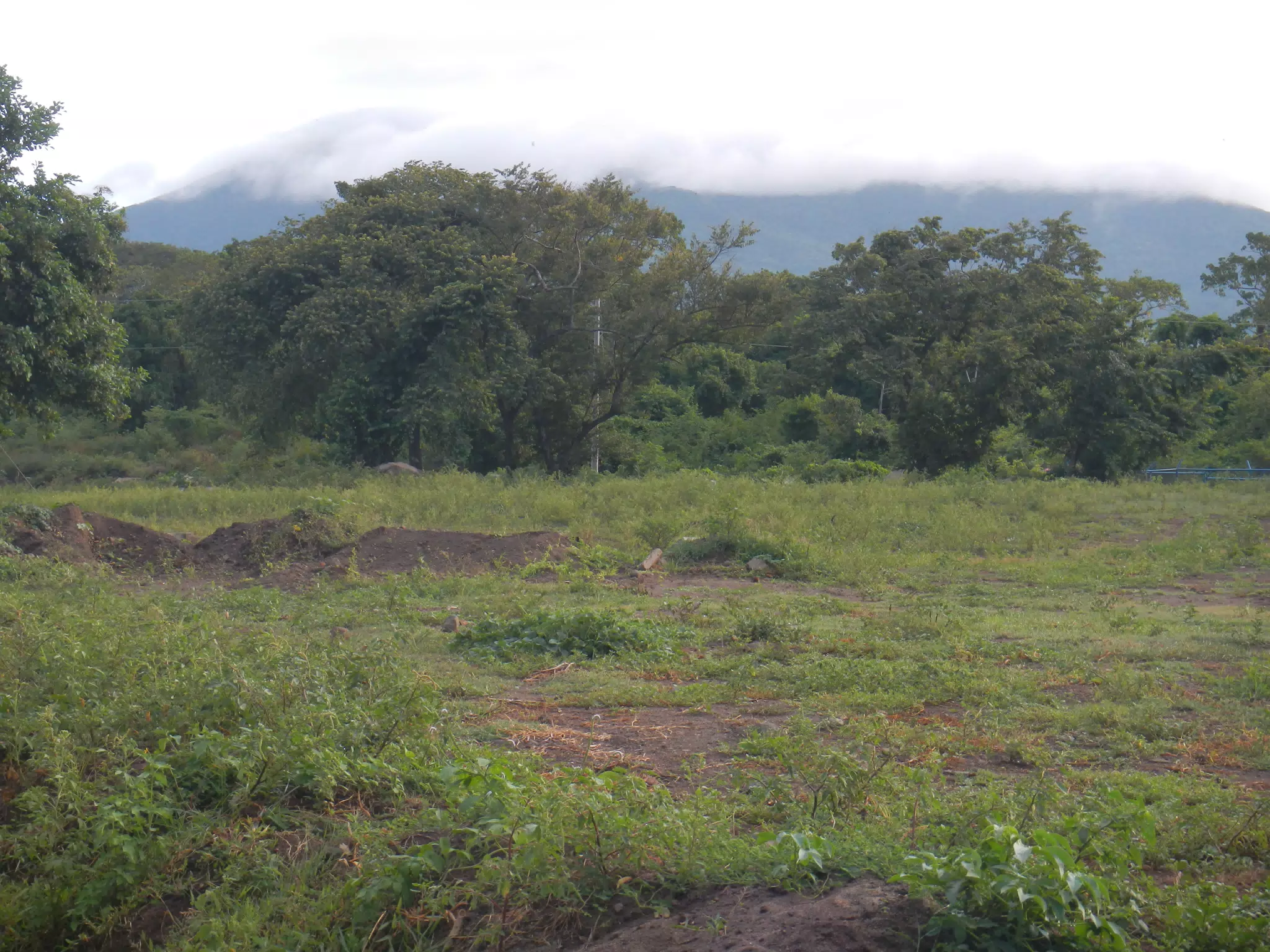 Mombacho in the Clouds