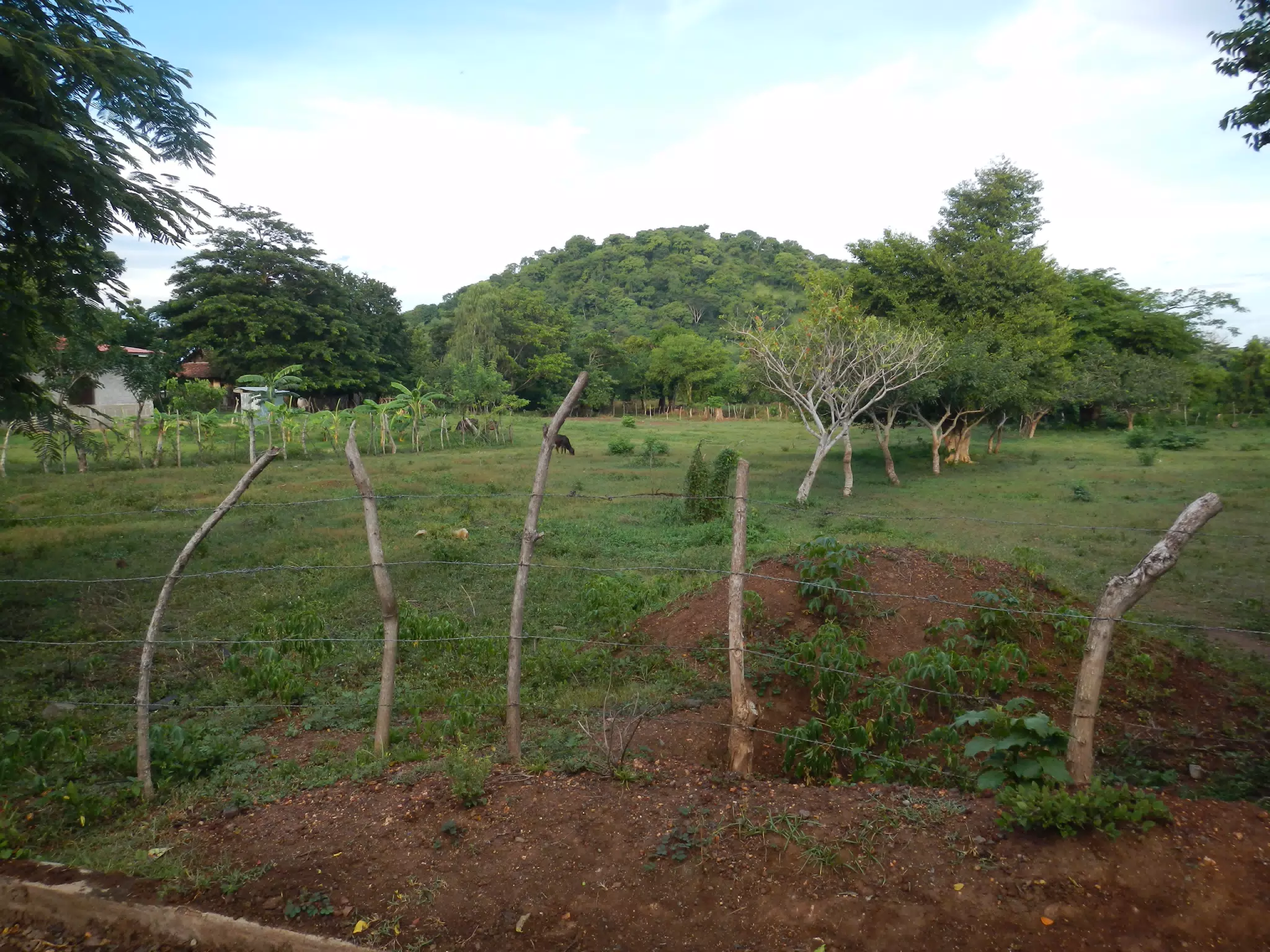 Field and Hill in Nicaragua