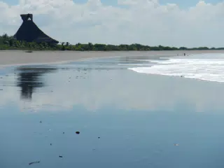 DSCN4919