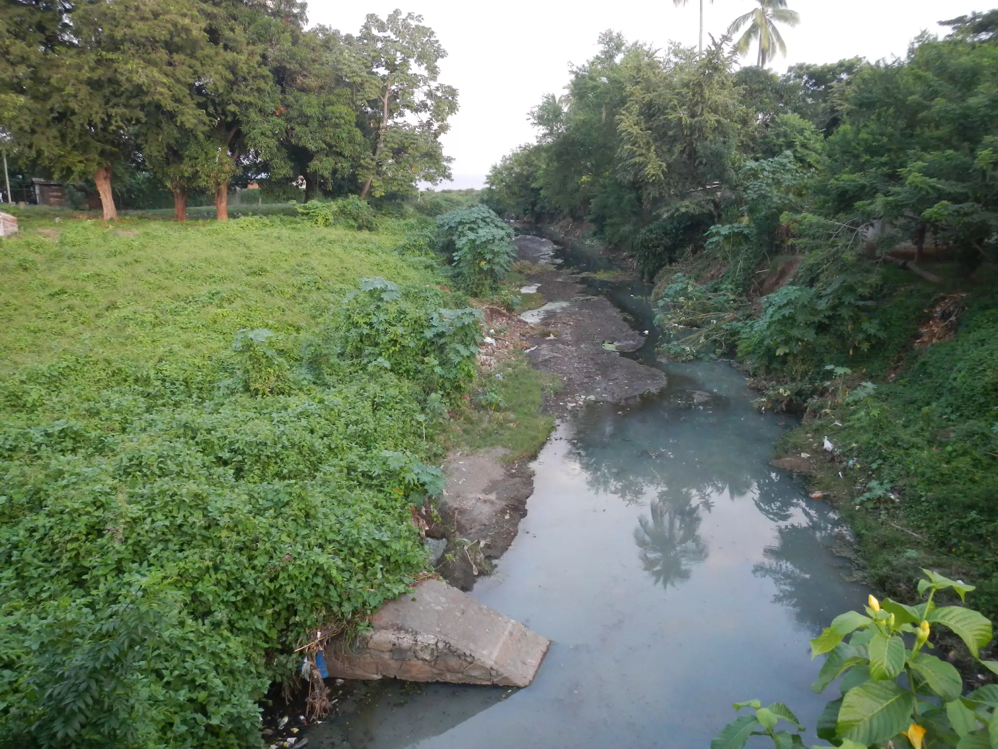 Creek (Arroyo) in Granada