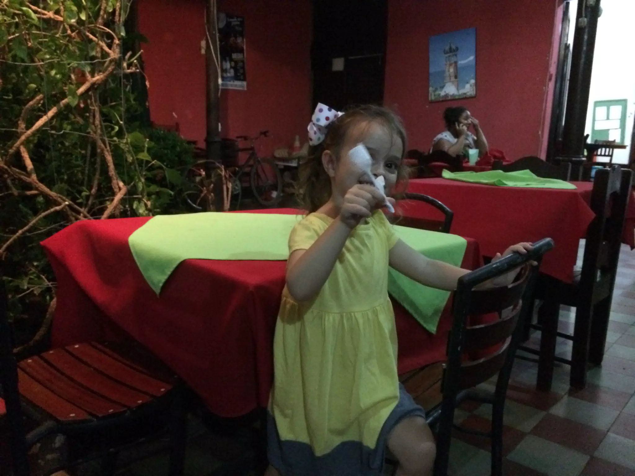 Luciana's Paper Rose