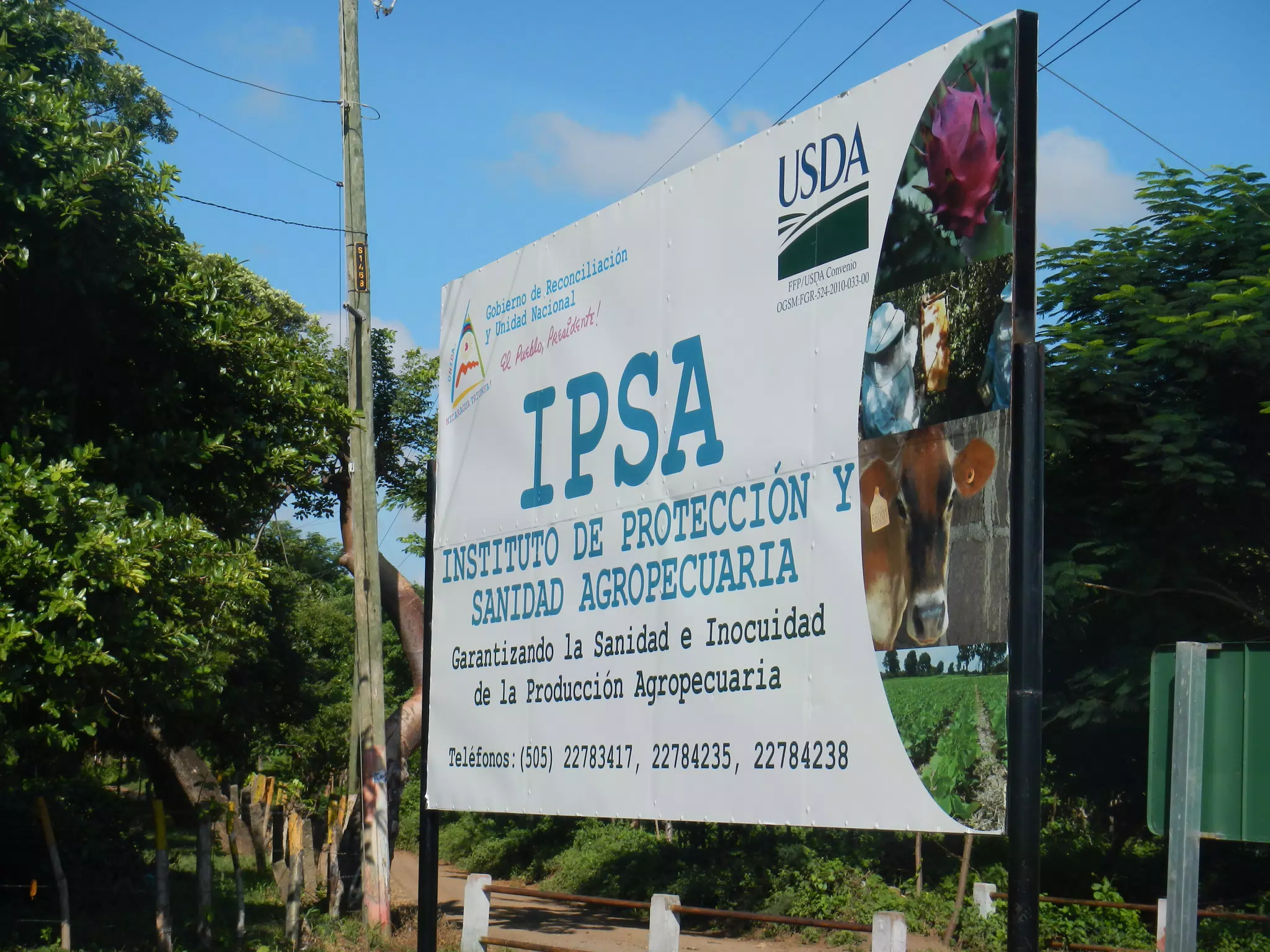 Instituto de Proteccion y Sanidad Agropecuaria