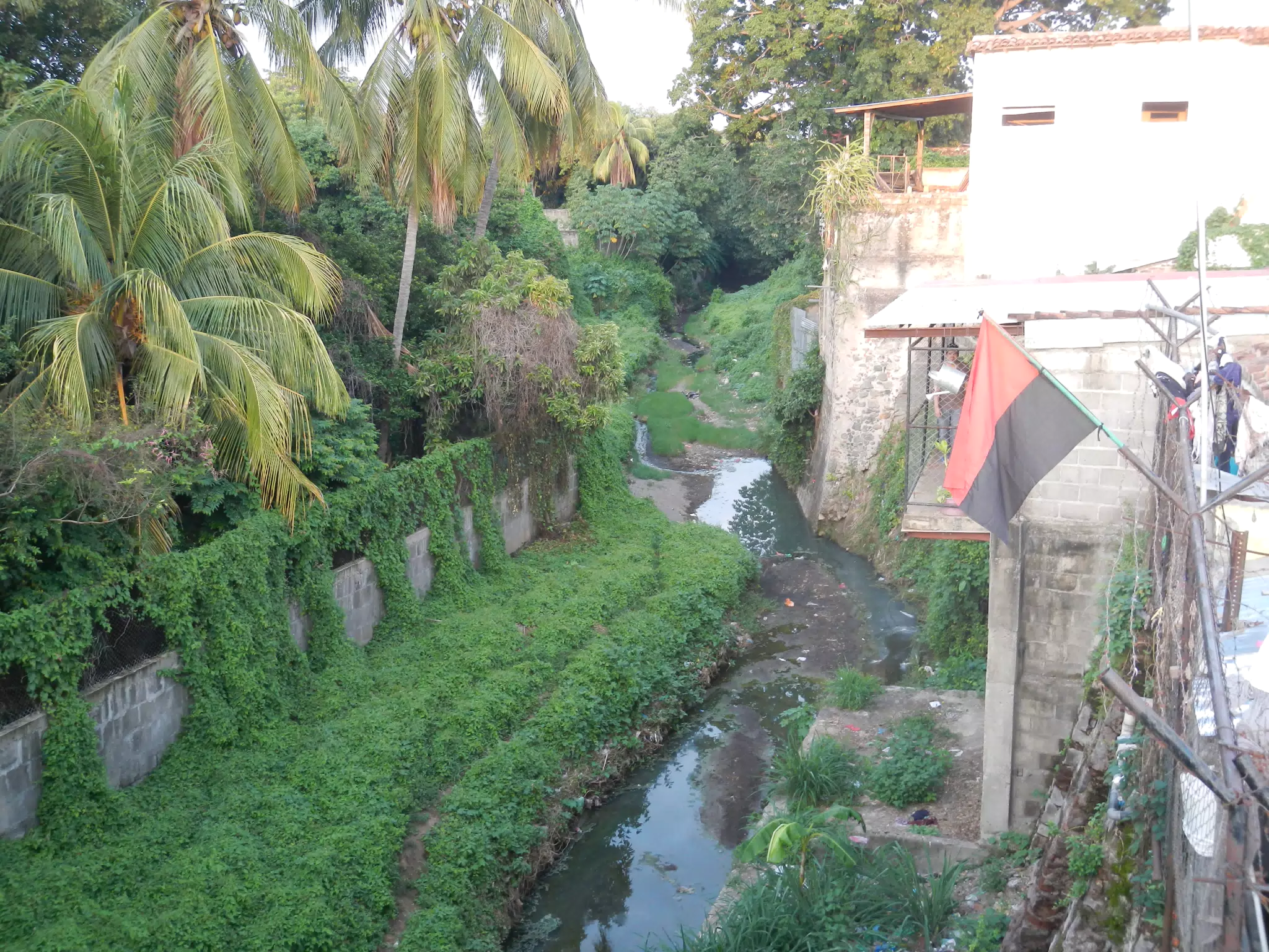 Creek by Our House