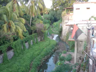 Creek by Our House