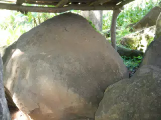 DSCN4969