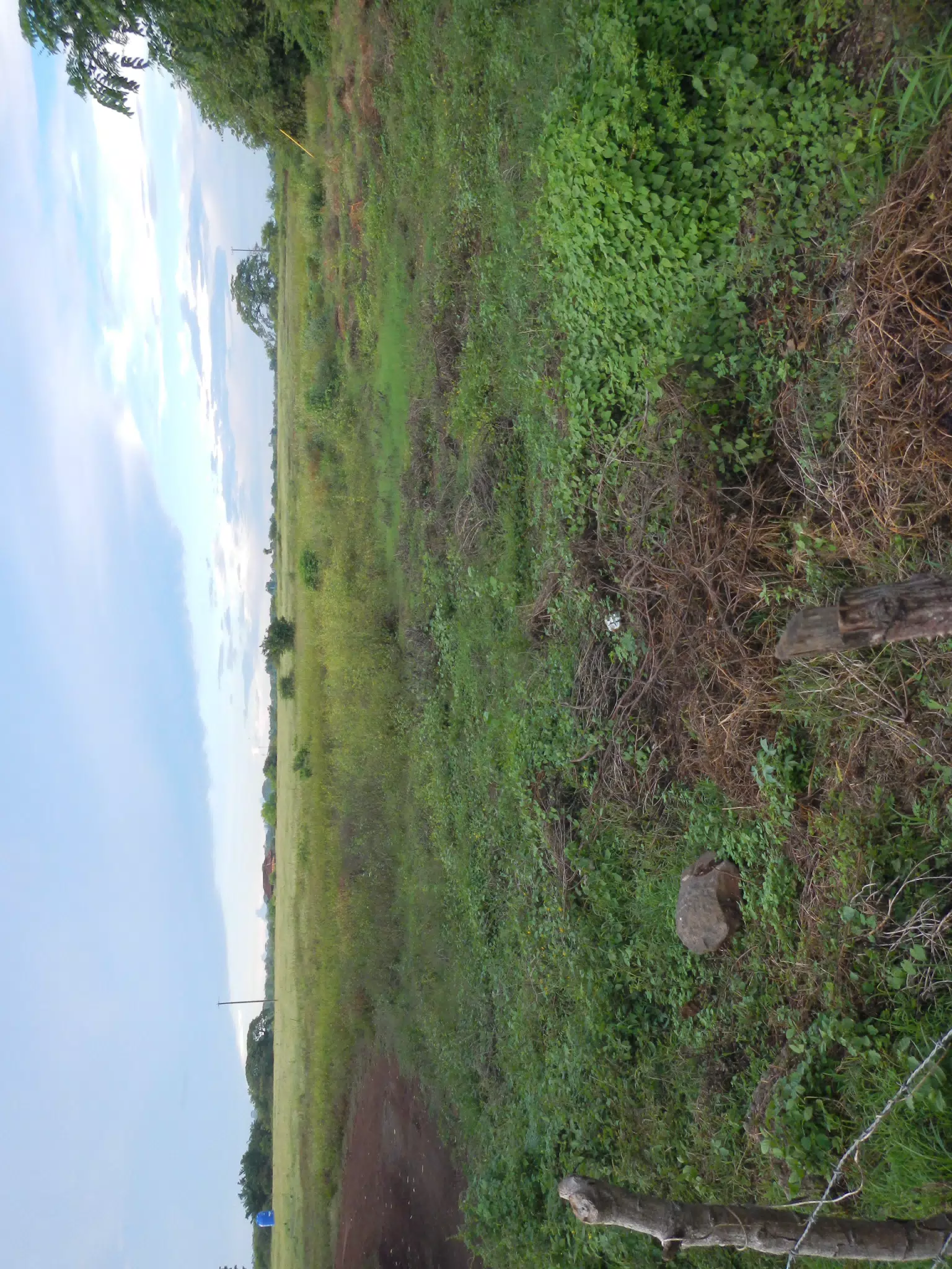 Field in Nicaragua