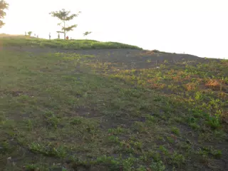 DSCN5001