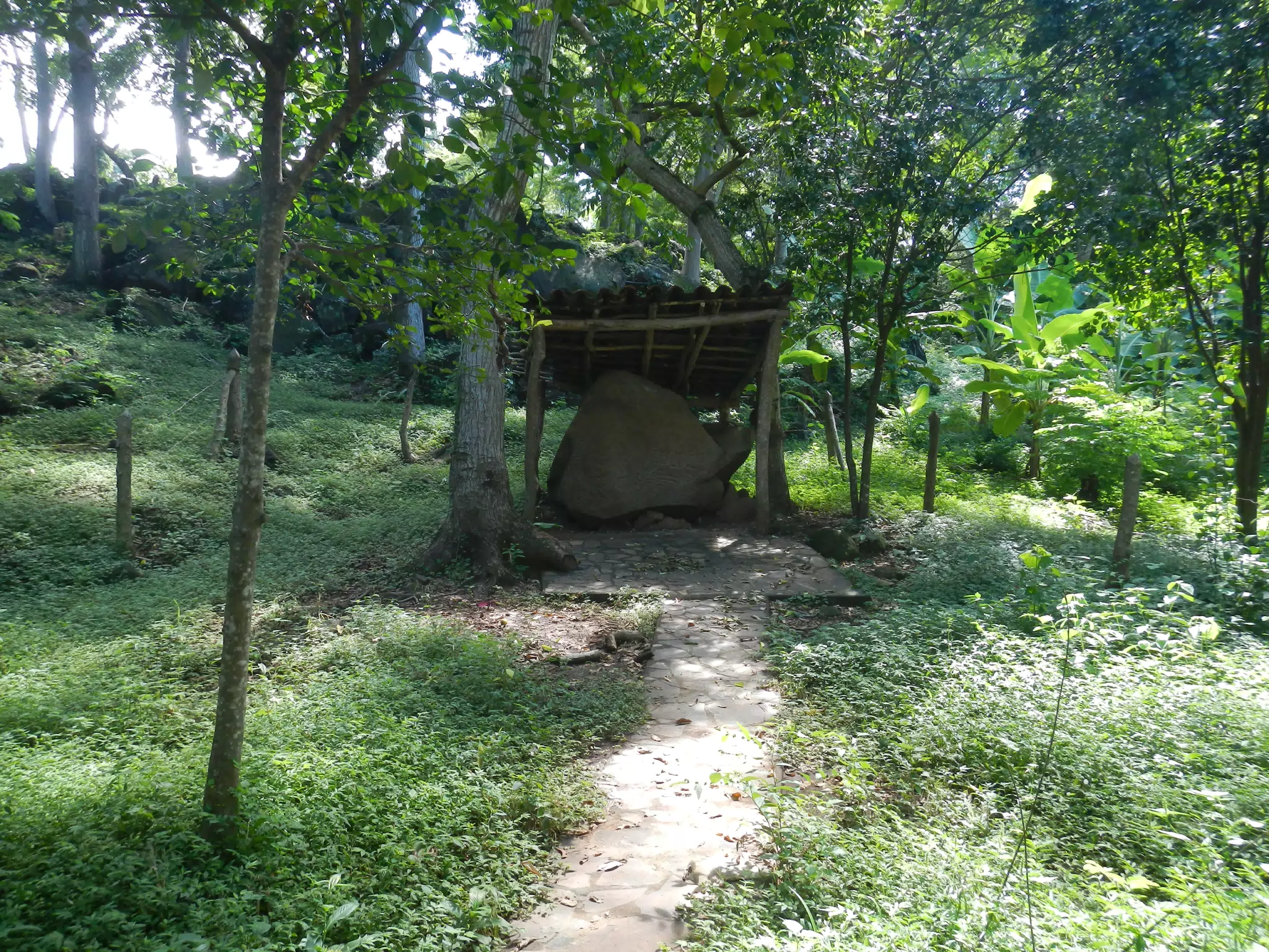 DSCN4966