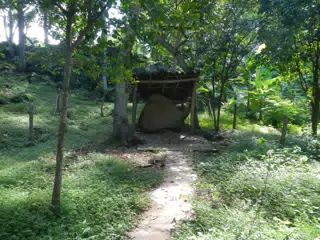 DSCN4966