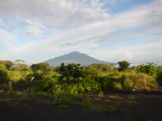 DSCN4984