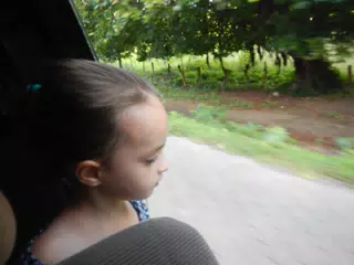DSCN4985