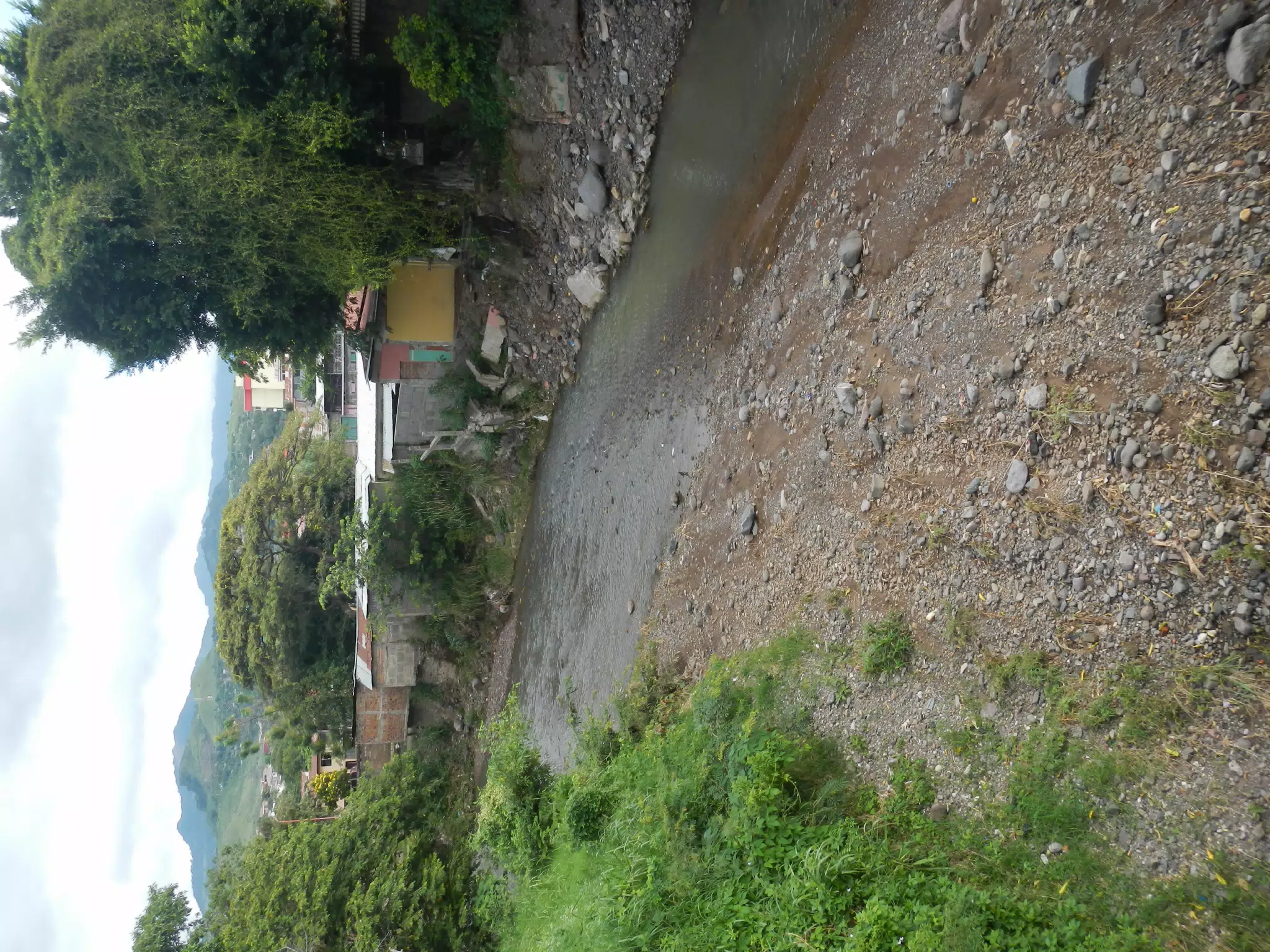 DSCN4774
