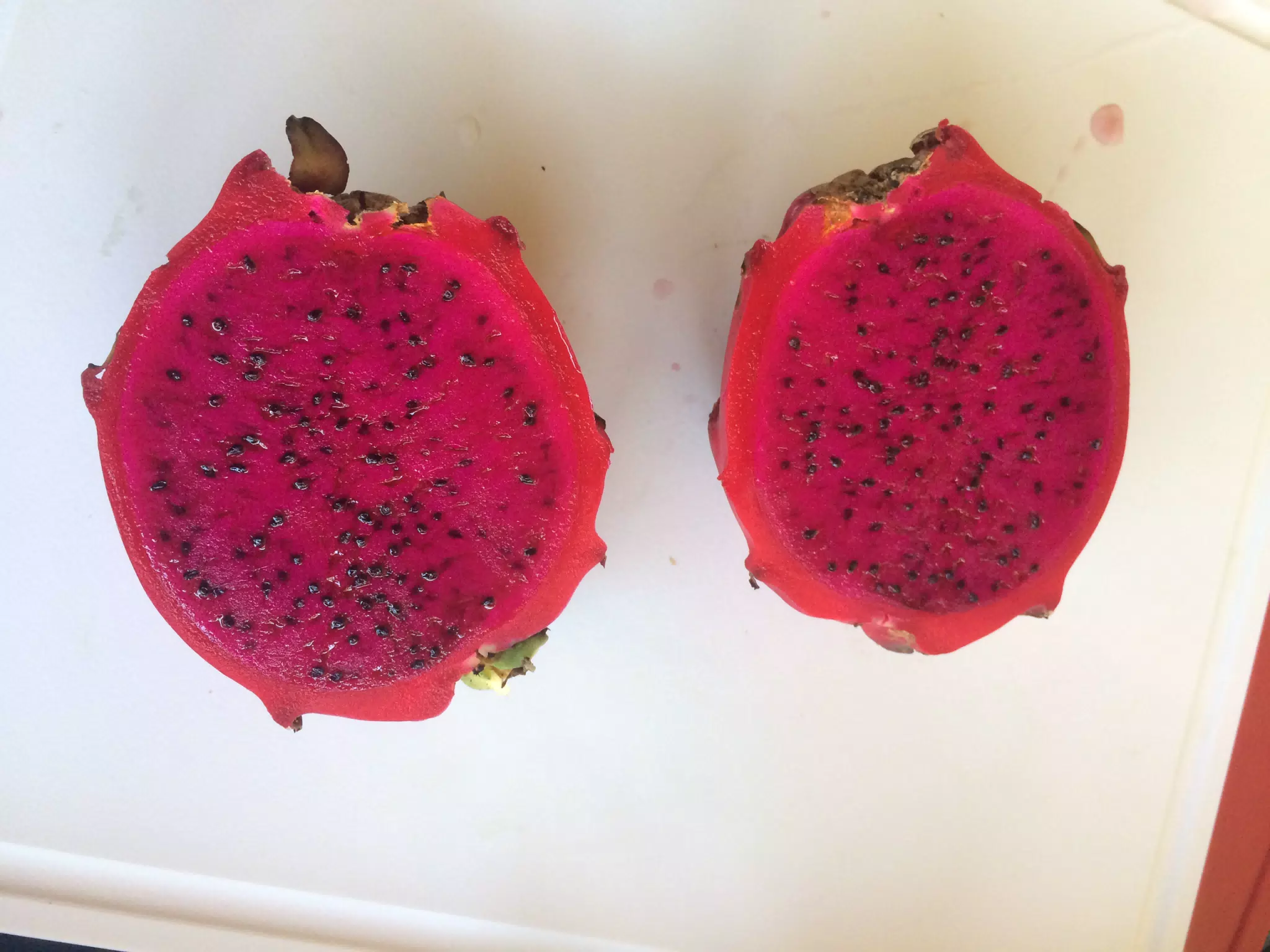 Pitaya or Dragonfruit