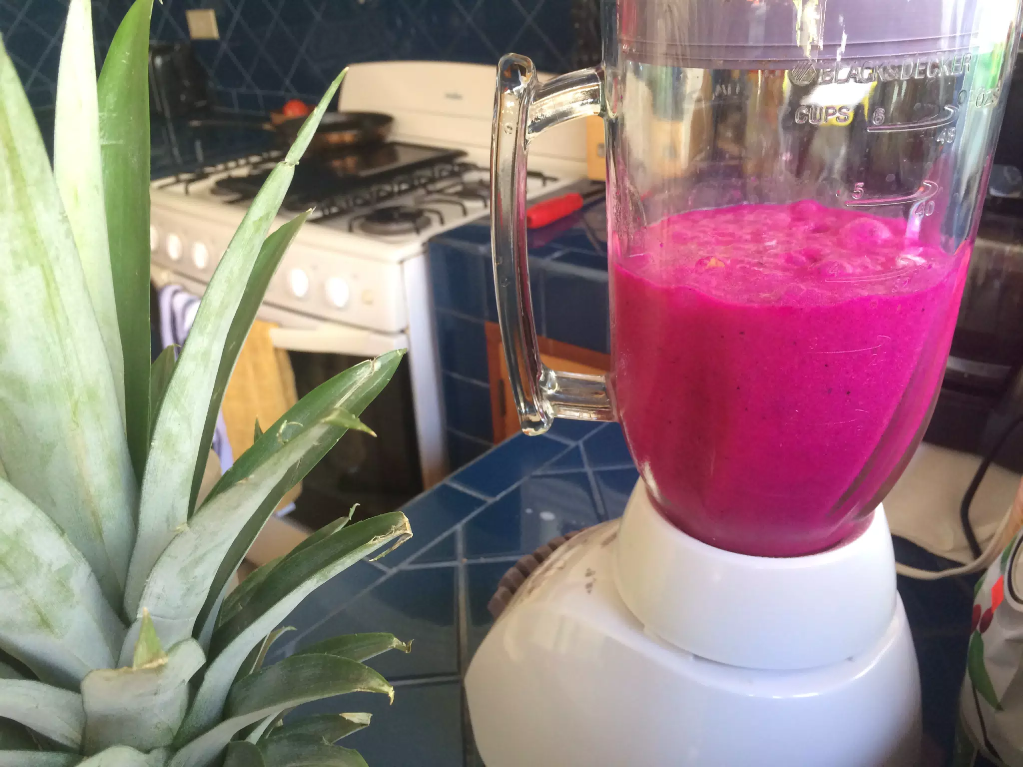 Pitaya or Dragonfruit