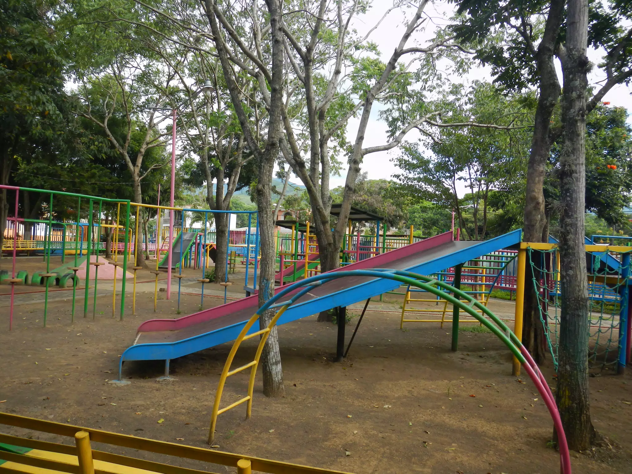 DSCN4772