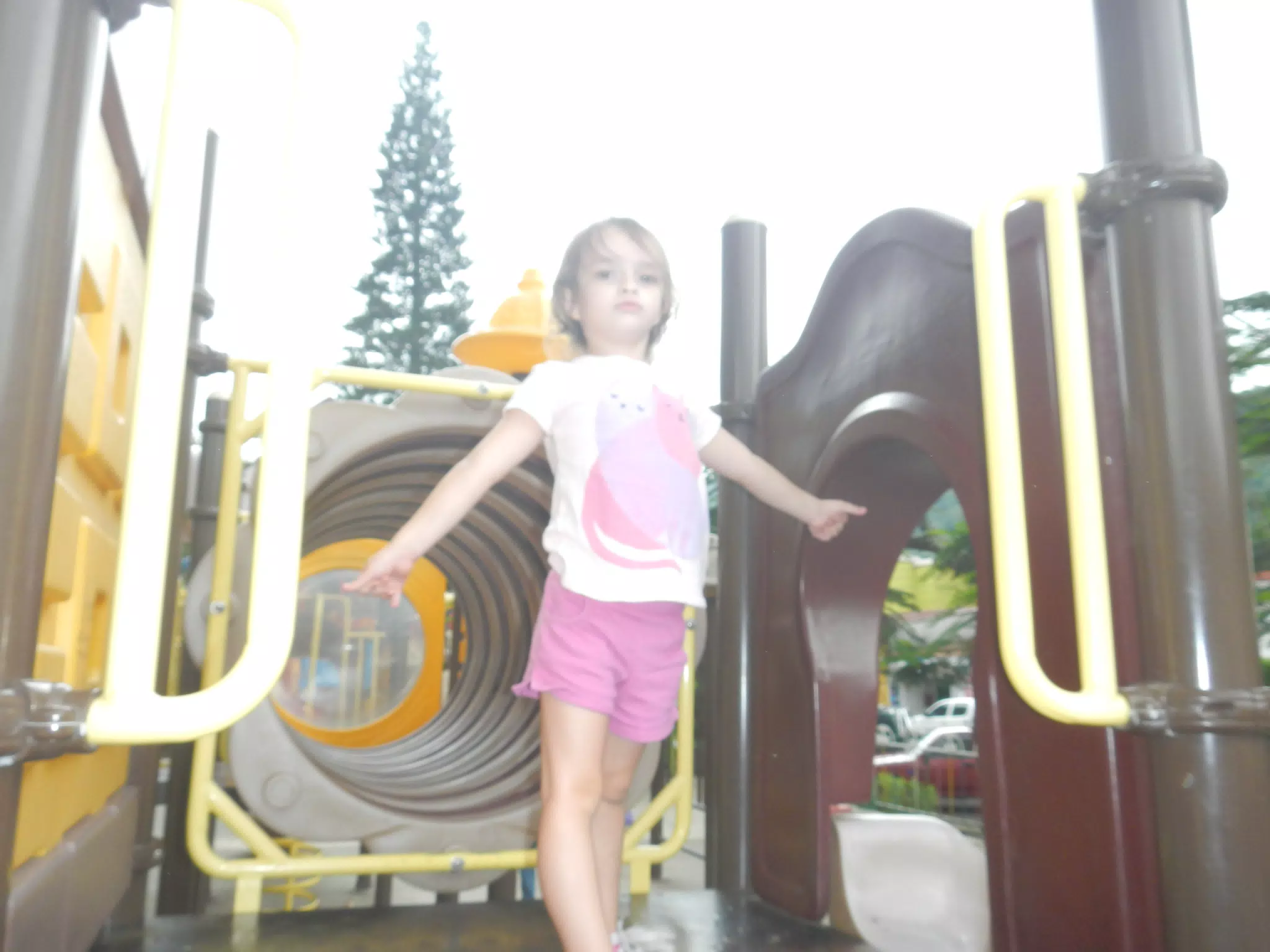 DSCN4815