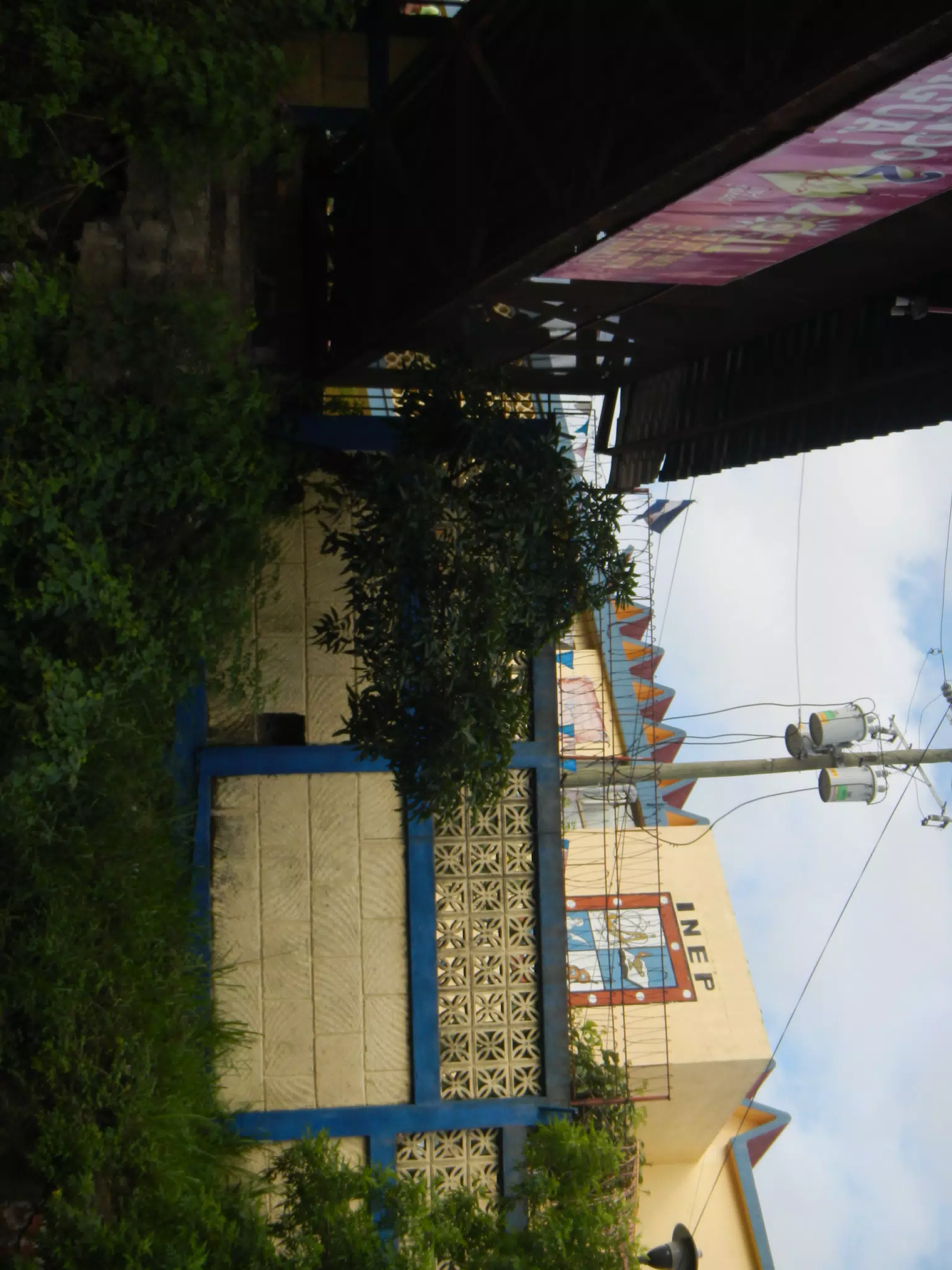DSCN4767