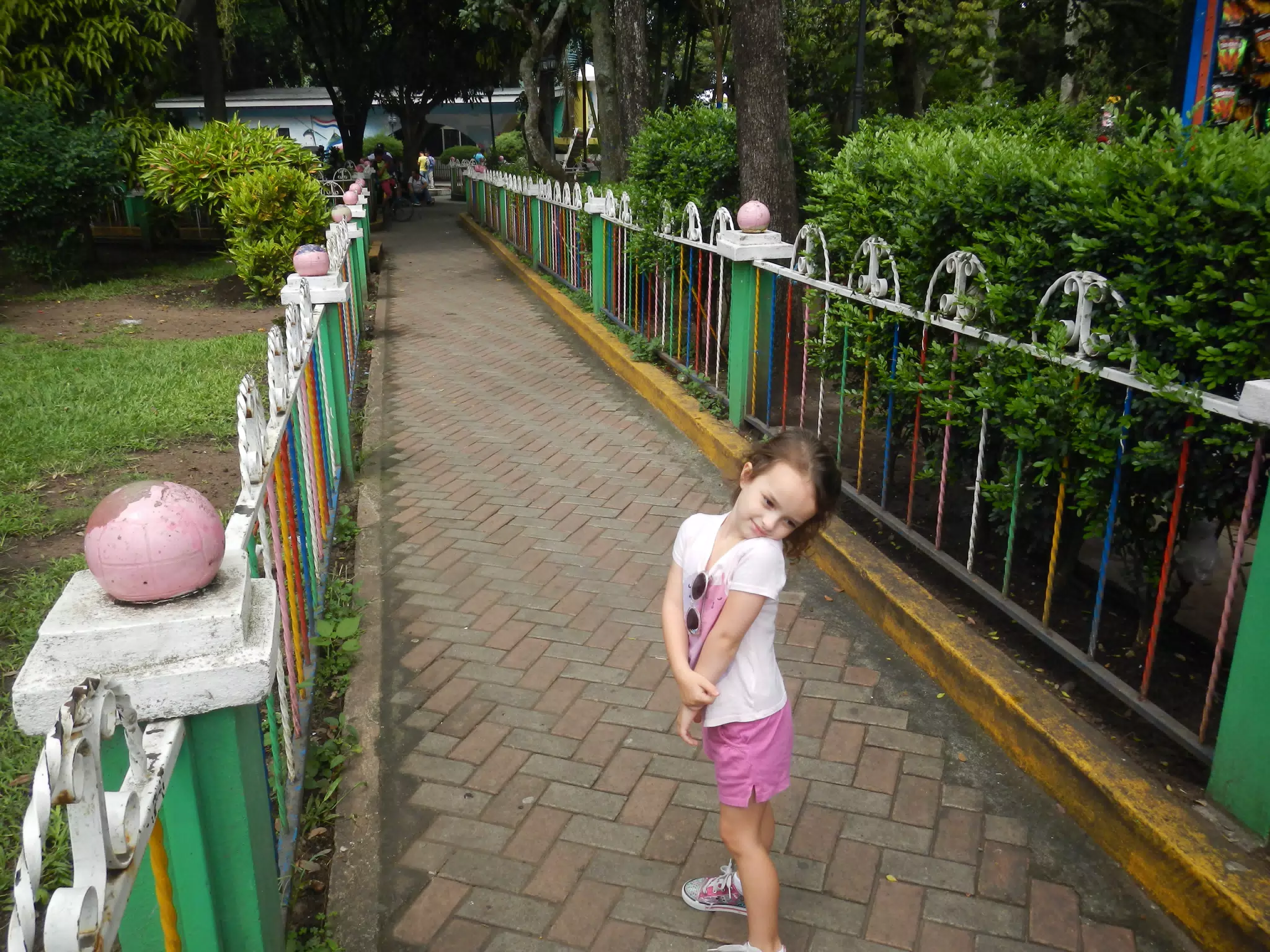 DSCN4795