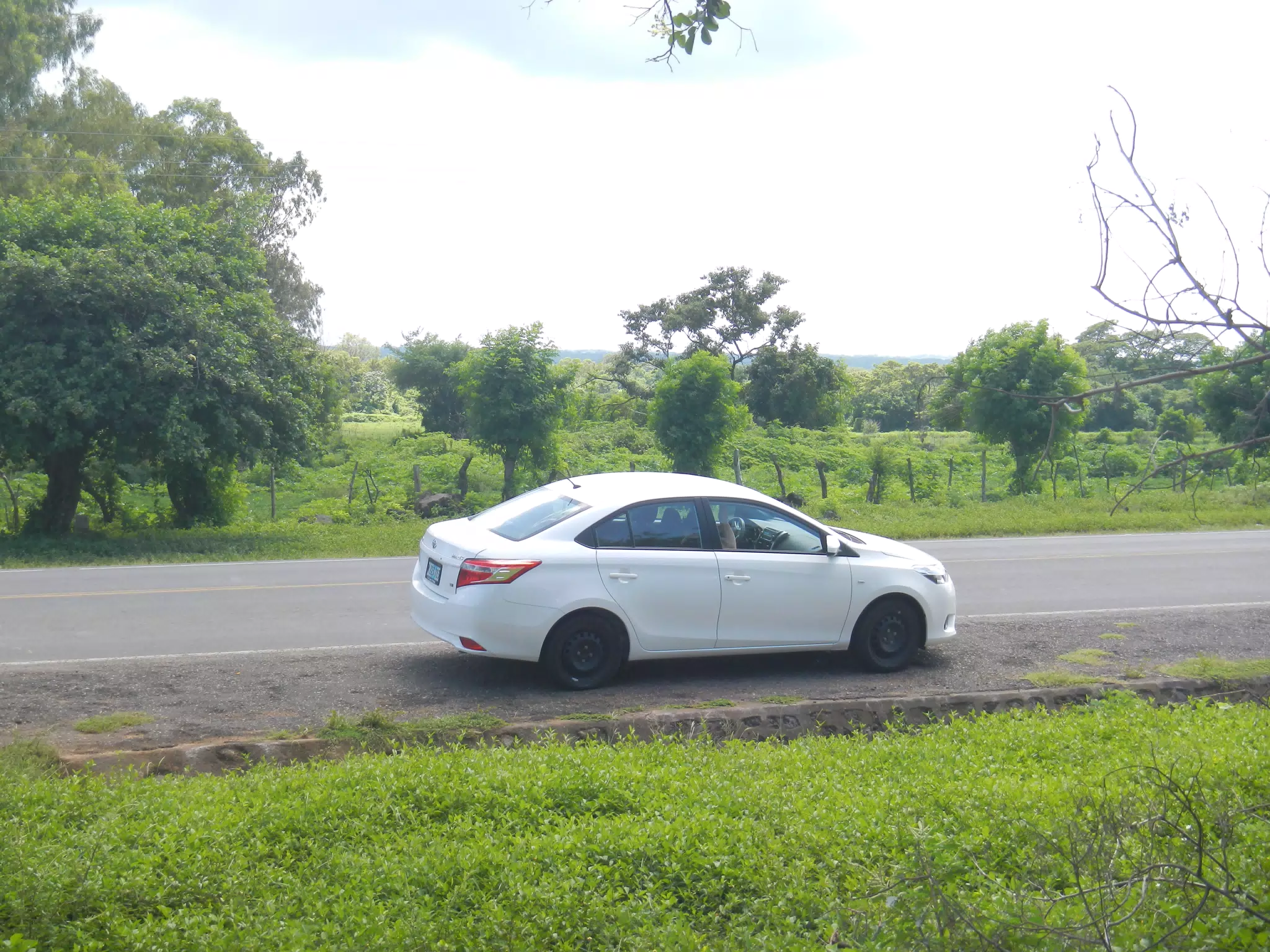 DSCN4841