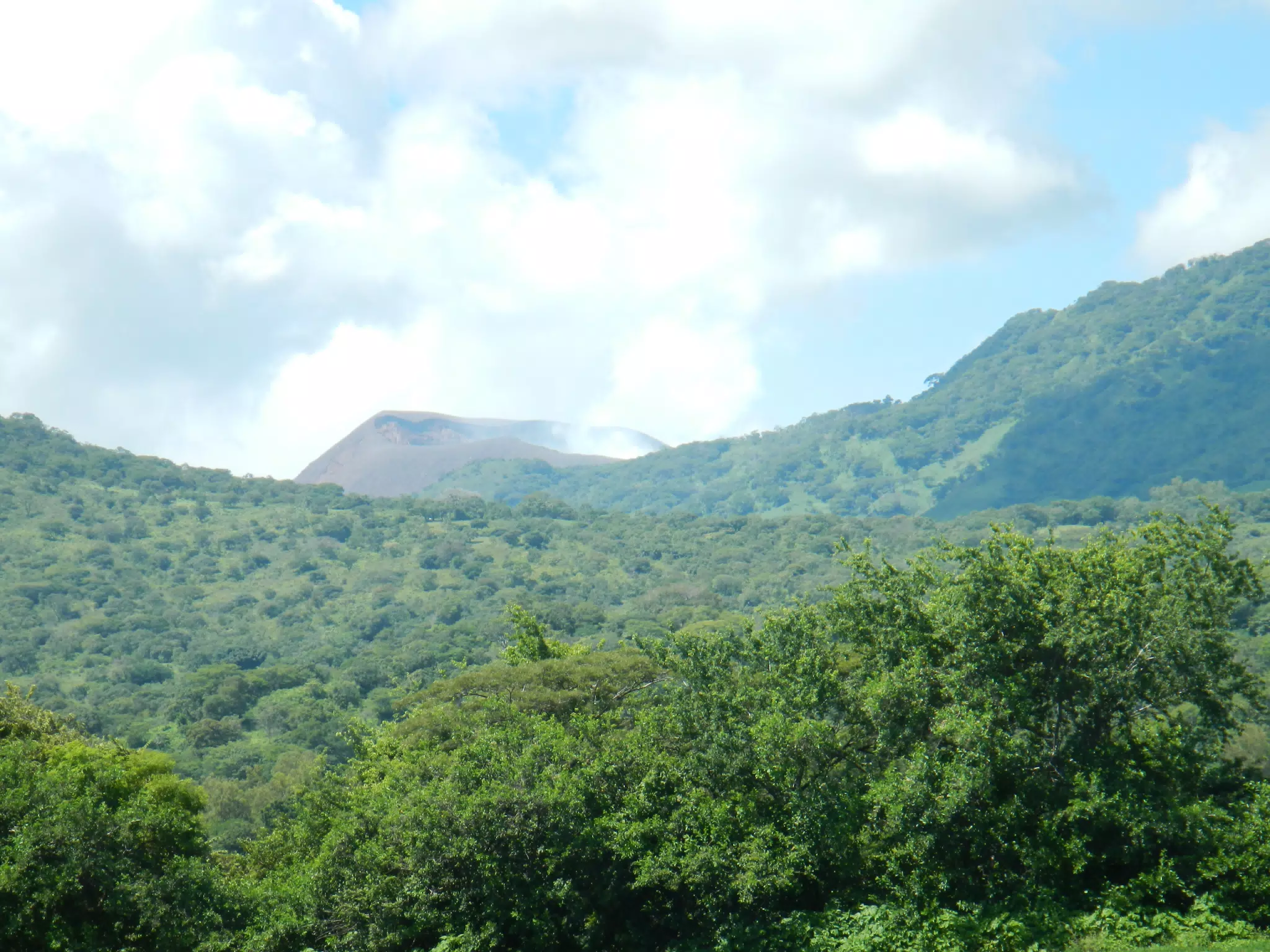 DSCN4835