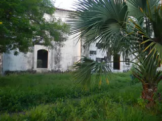 DSCN4880