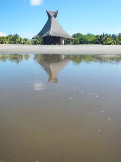DSCN4916