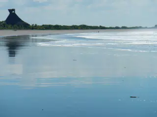 DSCN4920