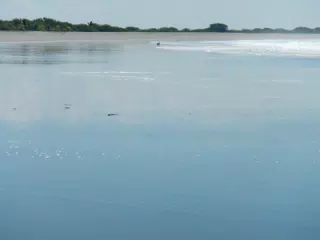 DSCN4918
