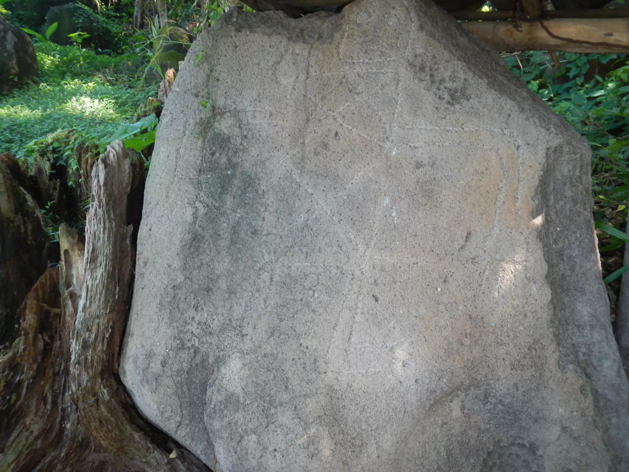 DSCN4968