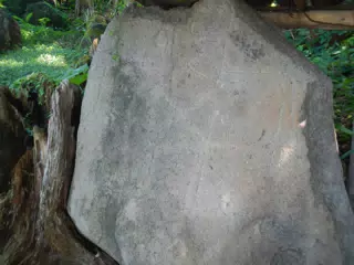 DSCN4968