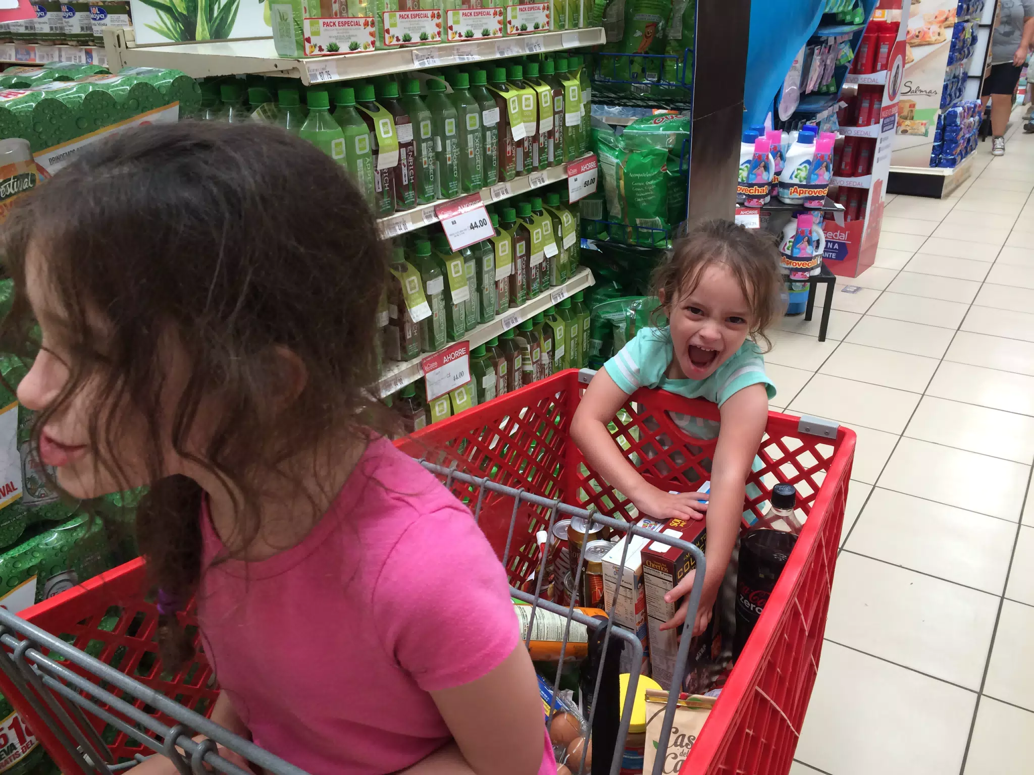 Grocery Shopping at La Colonia