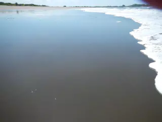 DSCN4917