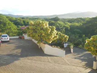 DSCN4941