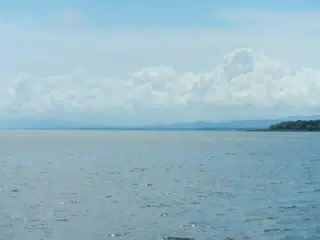 DSCN4950