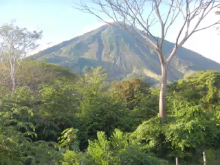 DSCN4981