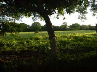 DSCN4993