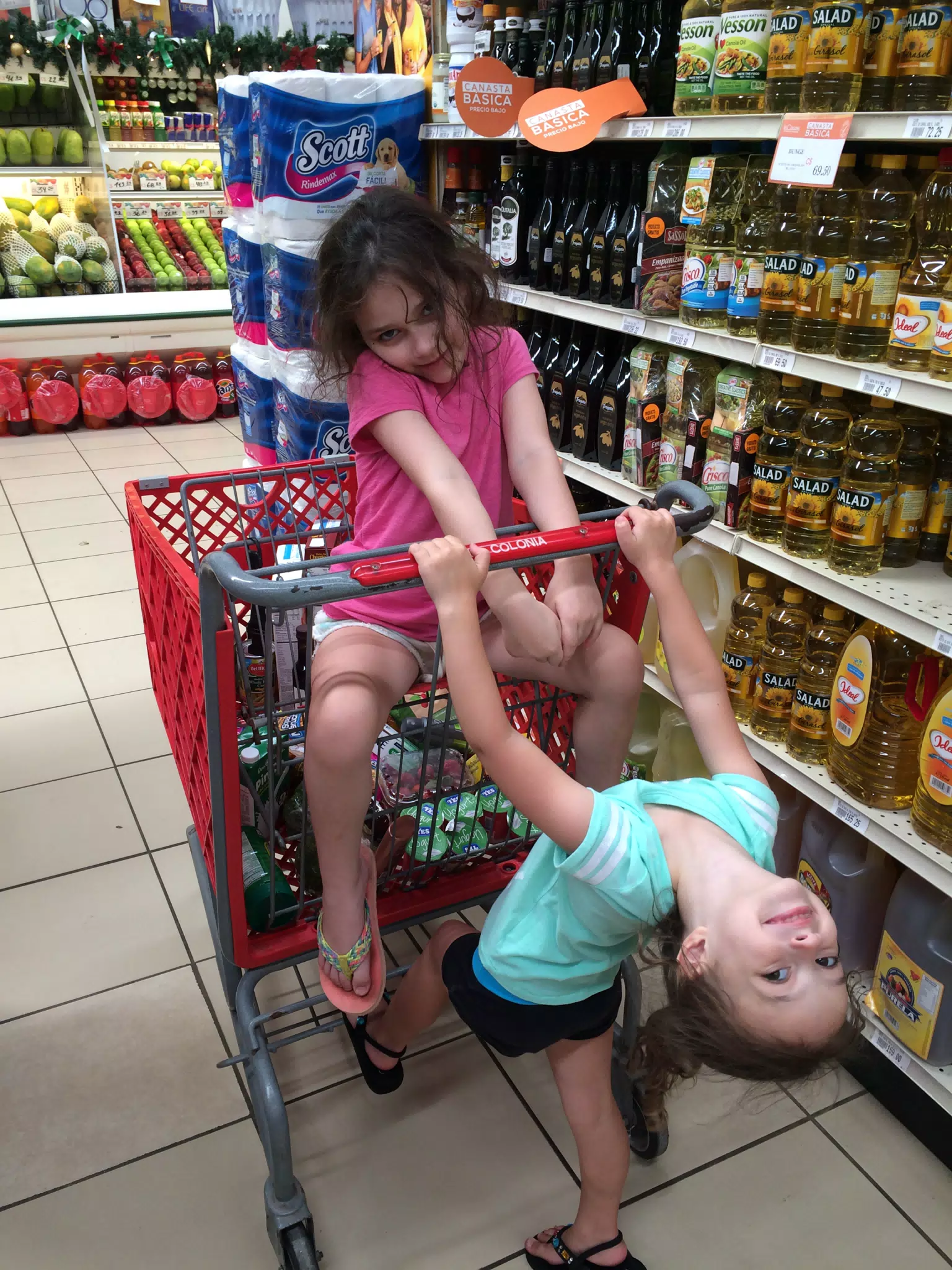 Grocery Shopping at La Colonia