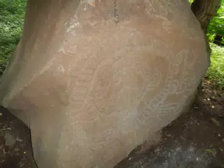 DSCN4963