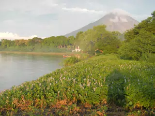 DSCN5005