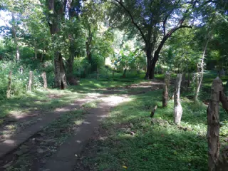 DSCN4965