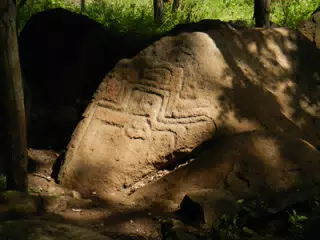 DSCN4971