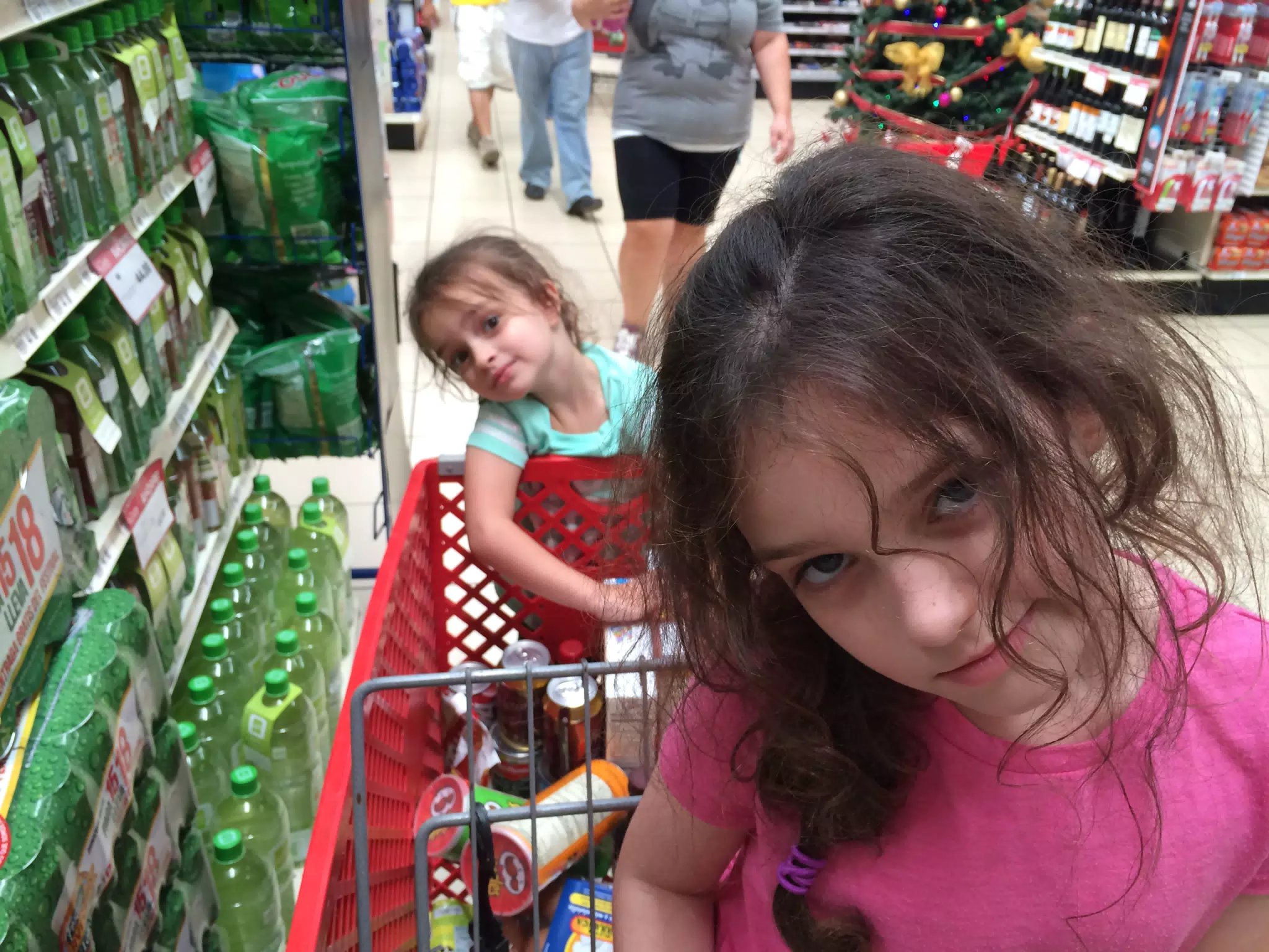 Grocery Shopping at La Colonia
