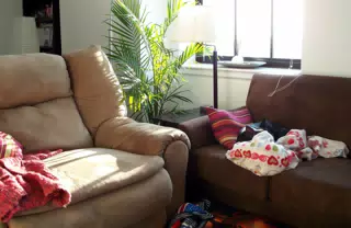 Oreo Hiding on Loveseat