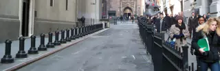 Rat Attack on Wall Street