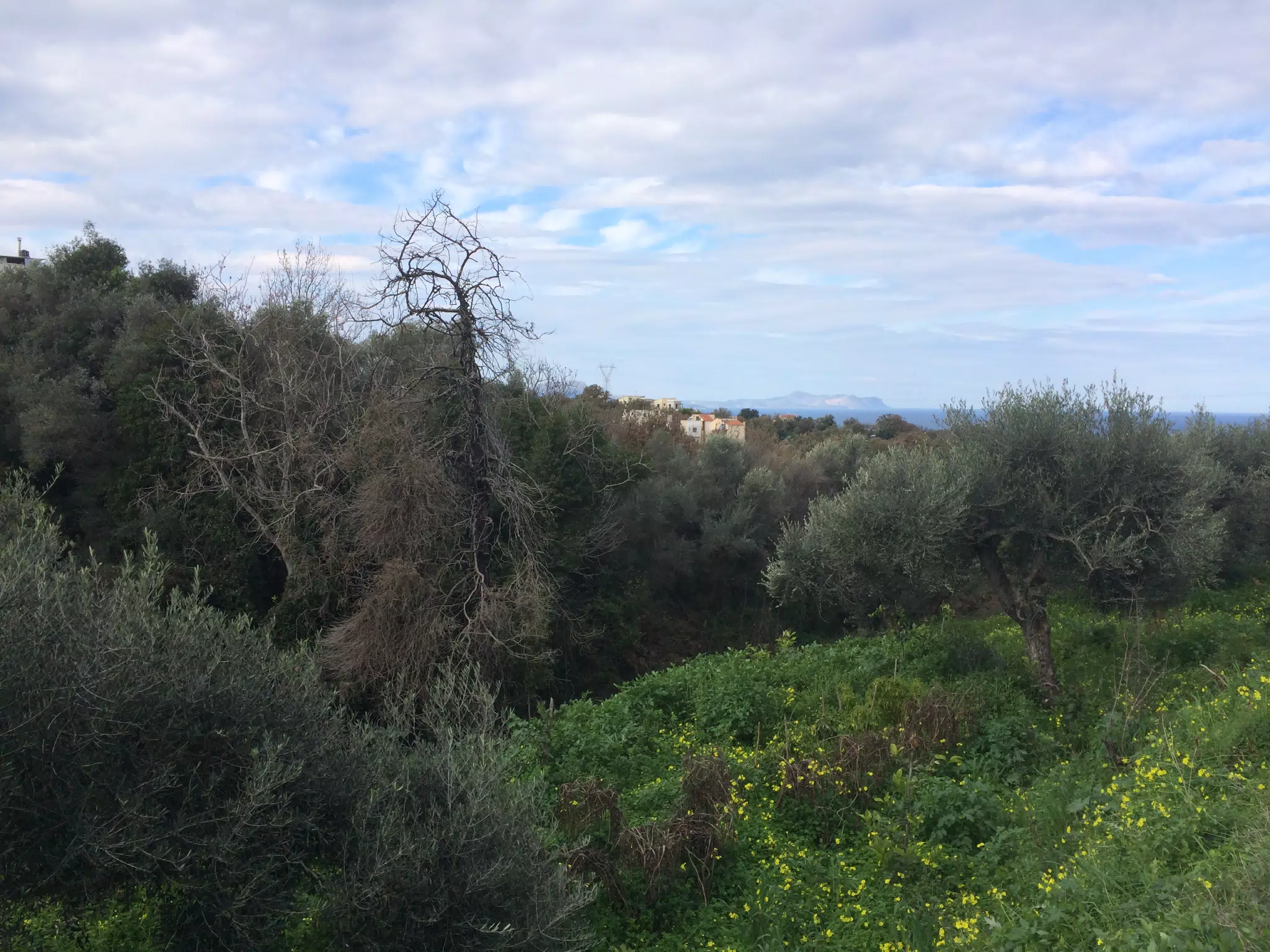 Cliffs on the Aegean to the West of Prines, Crete