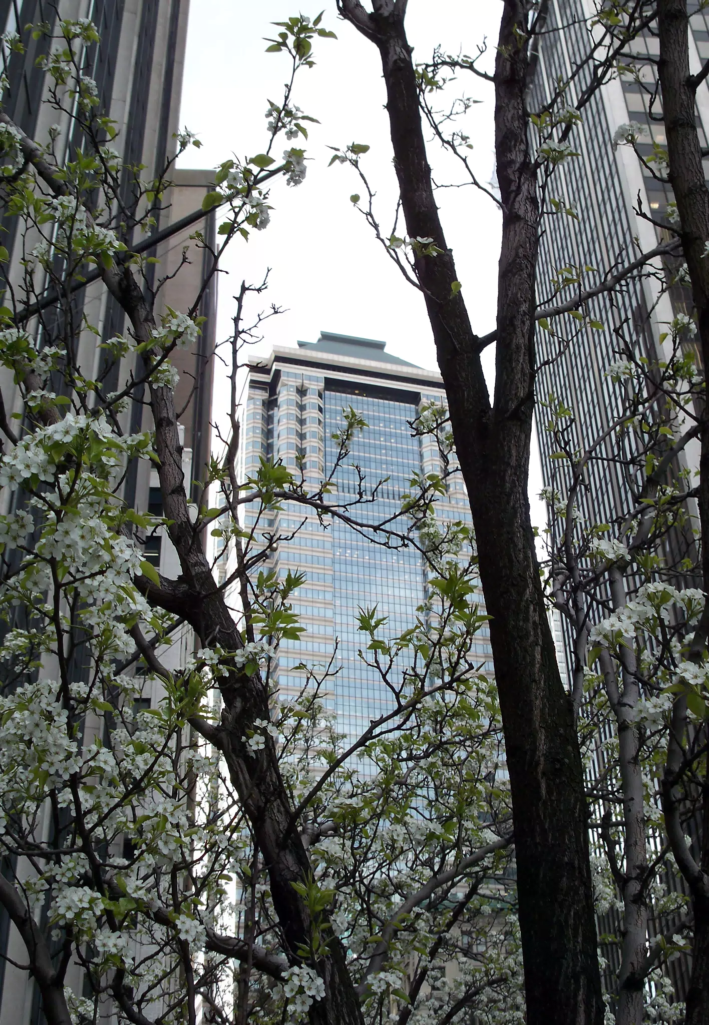 Deutsche Bank in Spring