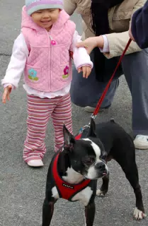 Oreo Sticking Out His Tongue