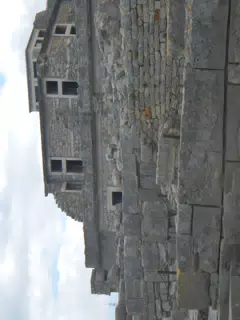 DSCN5364