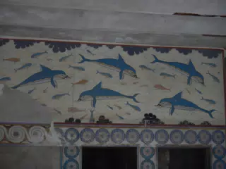 DSCN5349
