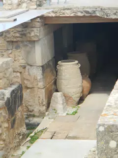 DSCN5331